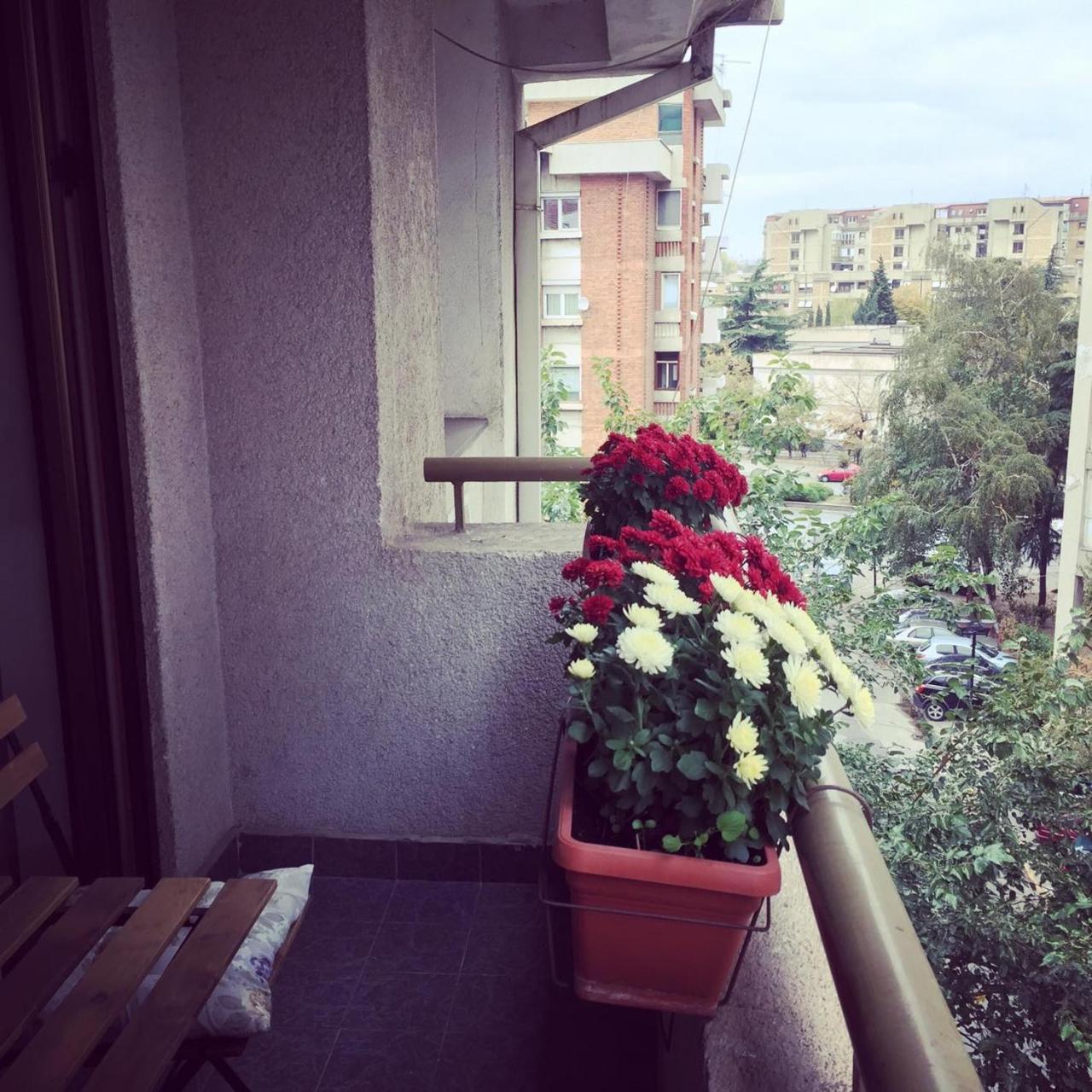 3 Bedroom Home With Parking Garage In The Heart Of Скопие Екстериор снимка